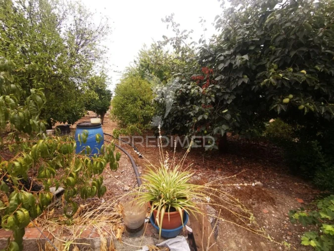 Moradia T2 para Venda em Paialvo Foto 6