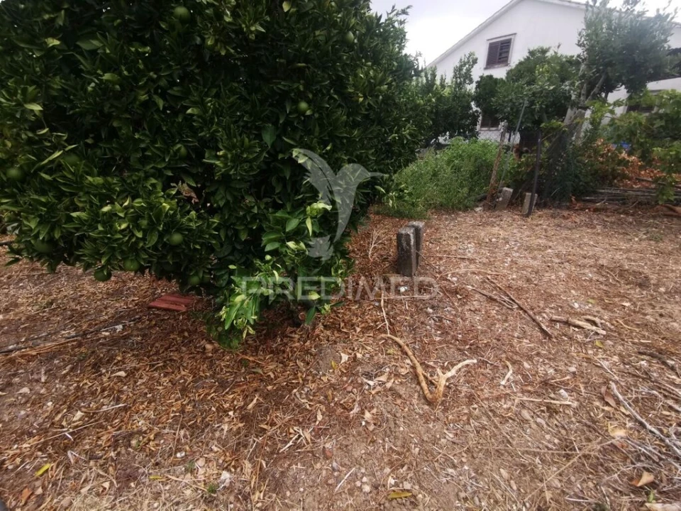 Moradia T2 para Venda em Paialvo Foto 7