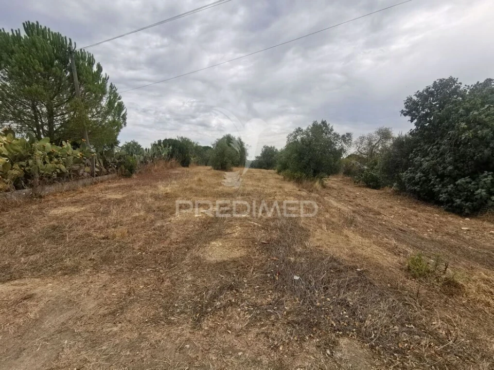 Terreno para Venda em Madalena e Beselga Foto 4