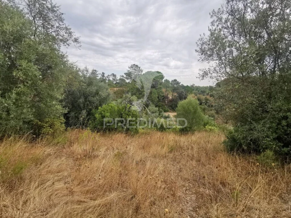 Terreno para Venda em Madalena e Beselga Foto 10