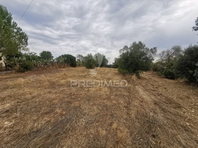 Terreno para Venda em Madalena e Beselga Foto 5