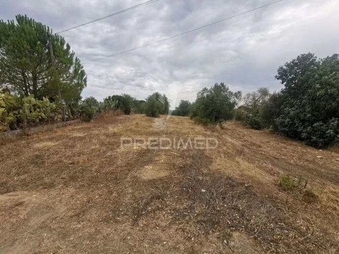 Terreno para Venda em Madalena e Beselga Foto 4