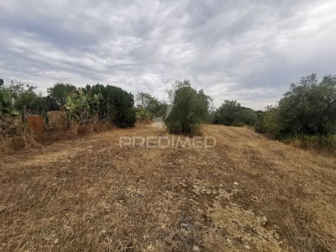 Terreno para Venda em Madalena e Beselga Foto 6