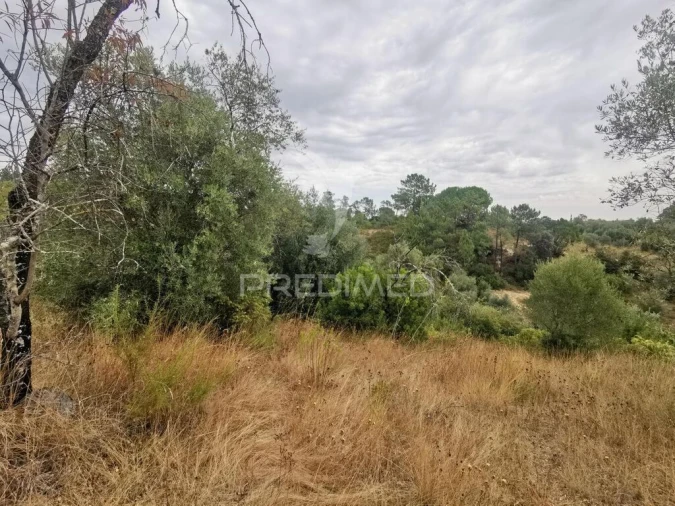 Terreno para Venda em Madalena e Beselga Foto 11