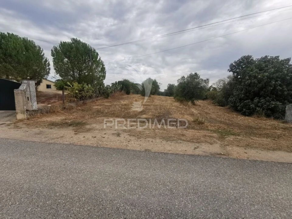 Terreno para Venda em Madalena e Beselga Foto 1