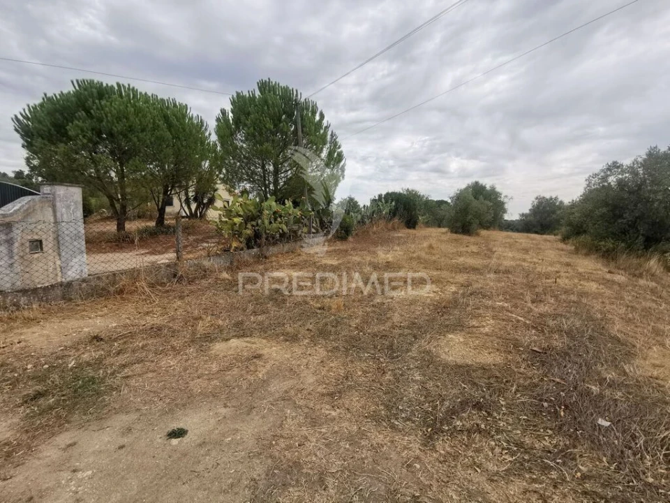 Terreno para Venda em Madalena e Beselga Foto 2