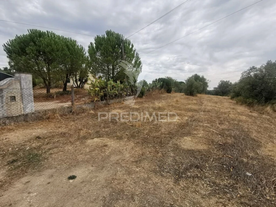 Terreno para Venda em Madalena e Beselga Foto 3