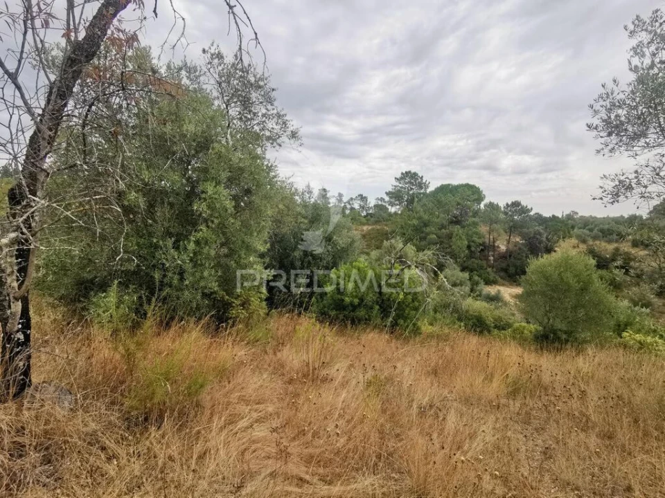 Terreno para Venda em Madalena e Beselga Foto 11