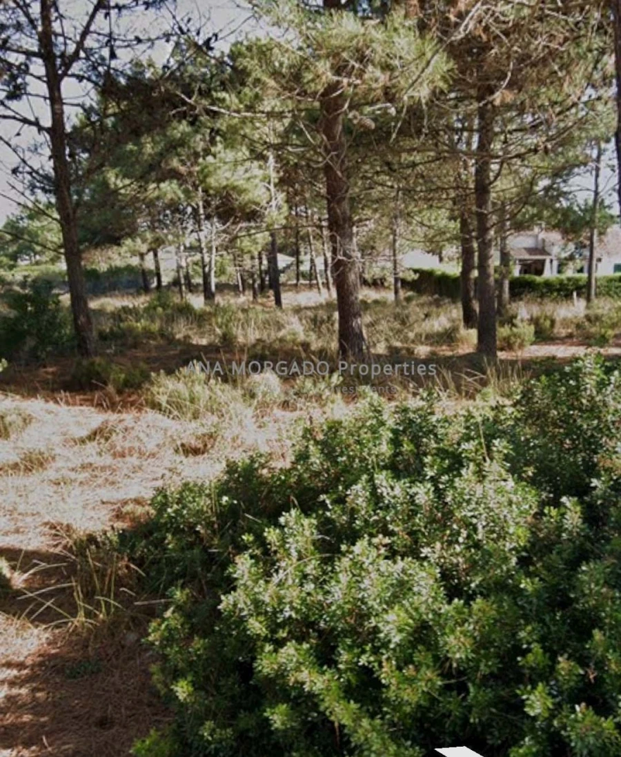 Terreno para Venda em Aljezur Foto 2