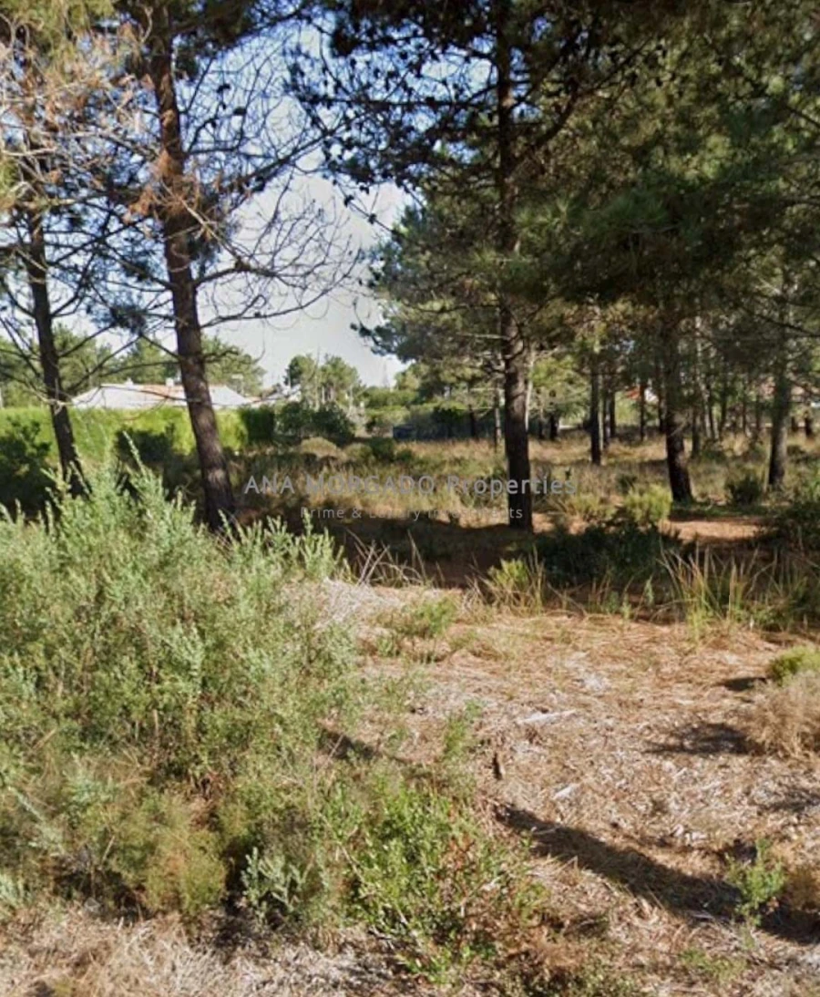 Terreno para Venda em Aljezur