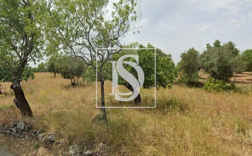 Terreno para Venda em Assentiz Foto 4