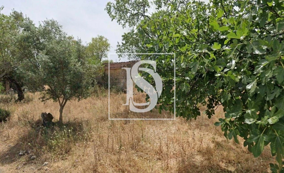 Terreno para Venda em Assentiz Foto 2