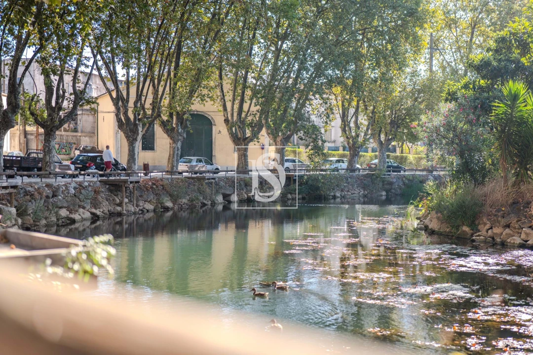 Moradia T4 para Venda em Torres Novas (São Pedro), Lapas e Ribeira Branca Foto 32