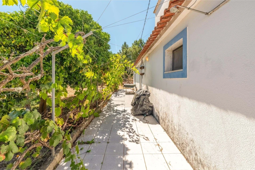 Moradia T2 para Venda em Melides Foto 26