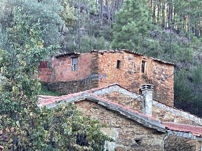 Moradia T4 para Venda em Almaceda Foto 21