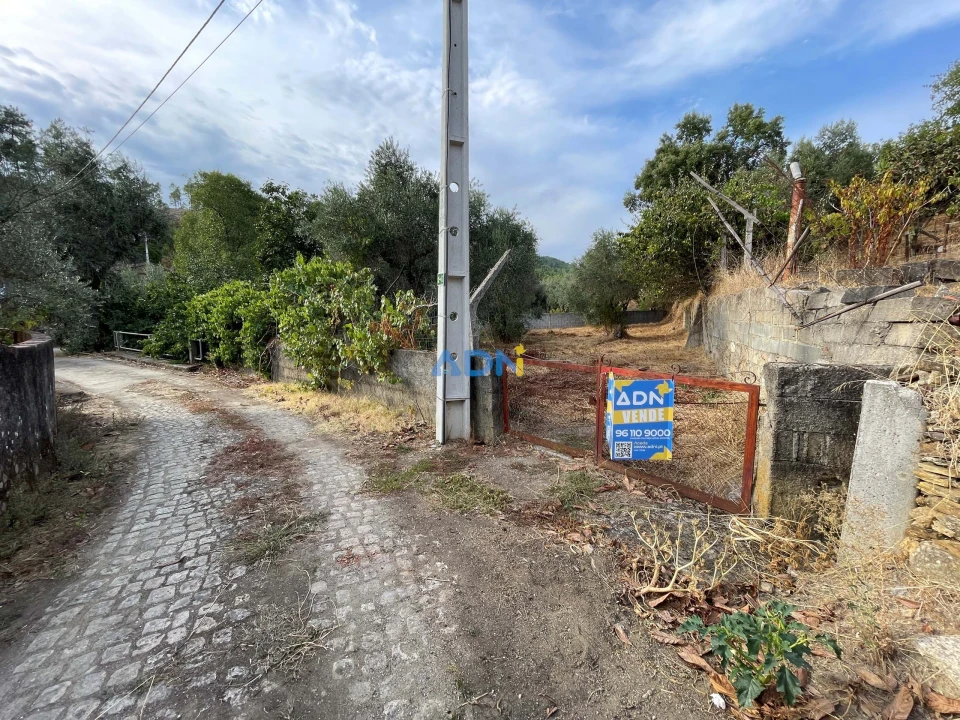 Terreno para Venda em Almaceda Foto 22