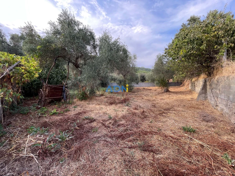 Terreno para Venda em Almaceda Foto 26