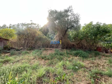 Terreno para Venda em Almaceda