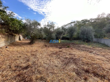 Terreno para Venda em Almaceda