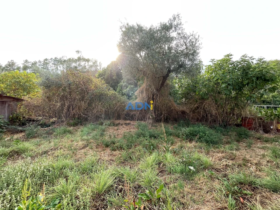 Terreno para Venda em Almaceda Foto 24