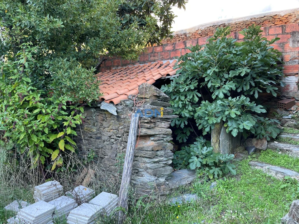 Terreno para Venda em Almaceda Foto 17