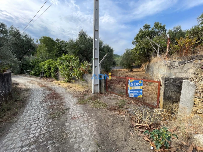 Terreno para Venda em Almaceda Foto 22