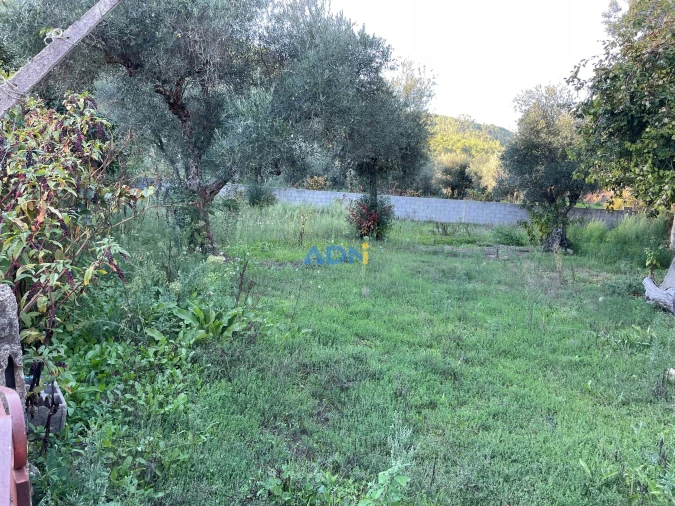 Terreno para Venda em Almaceda Foto 23