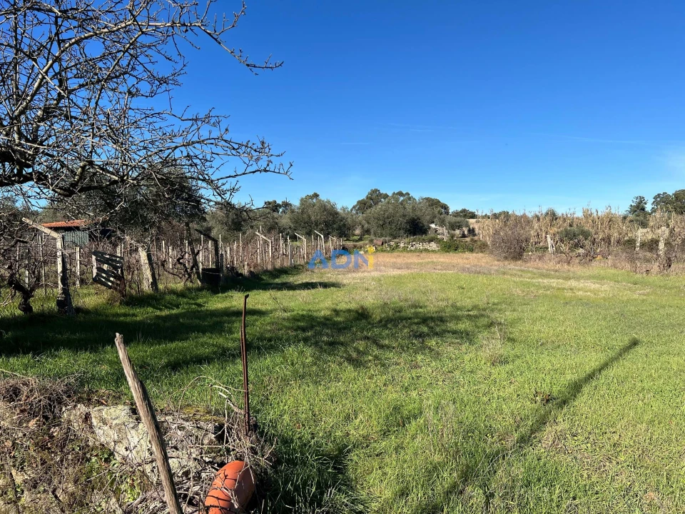Quinta para Venda em Castelo Branco Foto 1