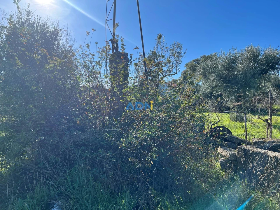 Quinta para Venda em Castelo Branco Foto 13