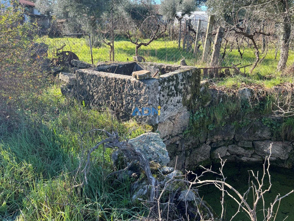 Quinta para Venda em Castelo Branco Foto 12