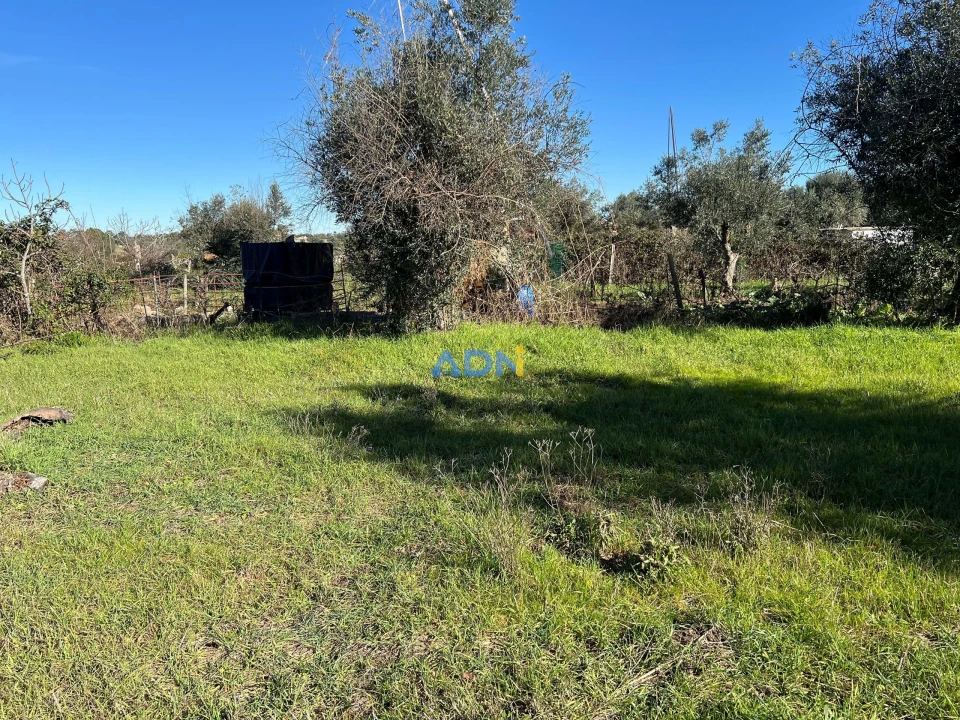 Quinta para Venda em Castelo Branco Foto 15