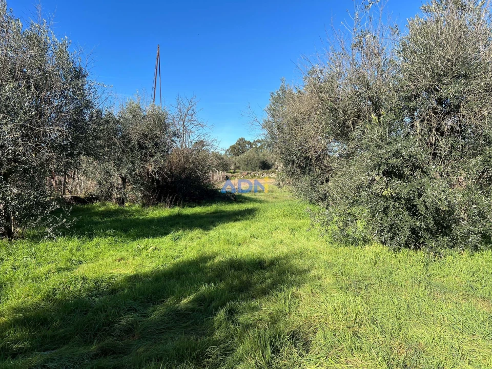 Quinta para Venda em Castelo Branco Foto 10