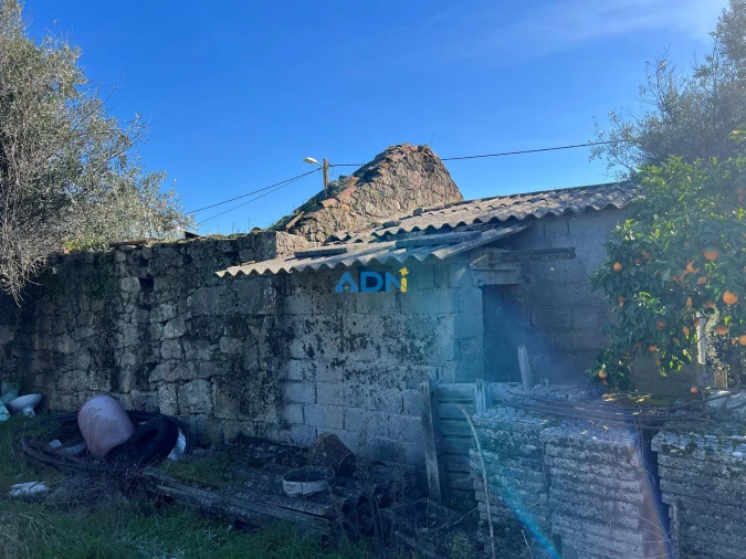 Quinta para Venda em Castelo Branco Foto 8