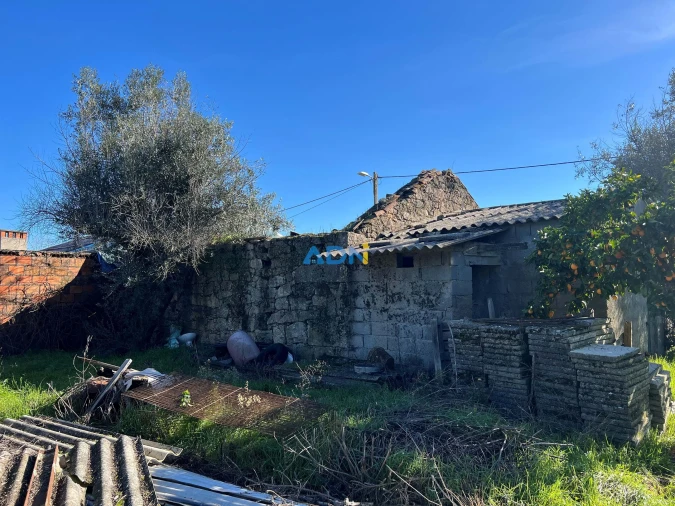 Quinta para Venda em Castelo Branco Foto 17