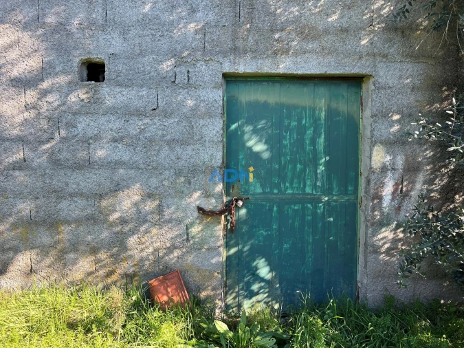 Quinta para Venda em Castelo Branco Foto 18