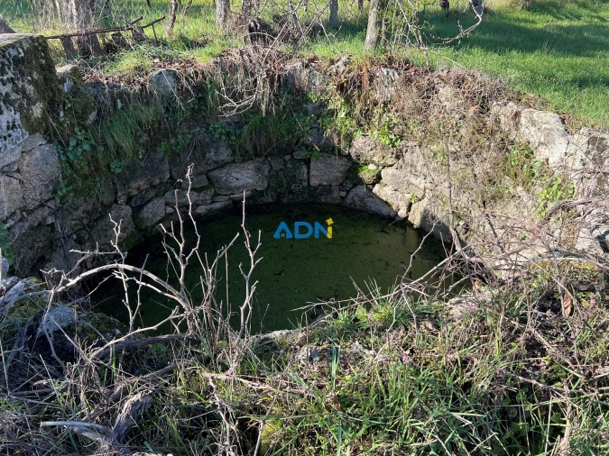 Quinta para Venda em Castelo Branco Foto 11