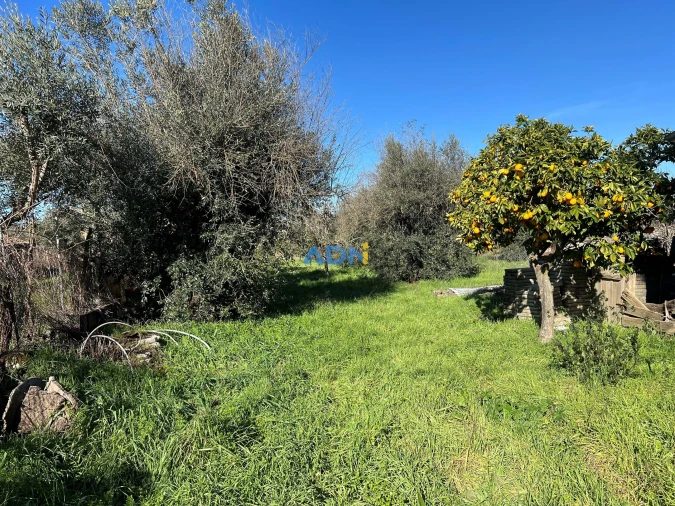 Quinta para Venda em Castelo Branco Foto 5