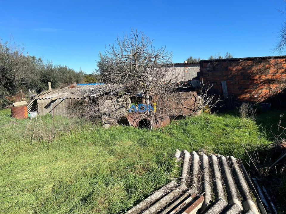 Quinta para Venda em Castelo Branco Foto 4