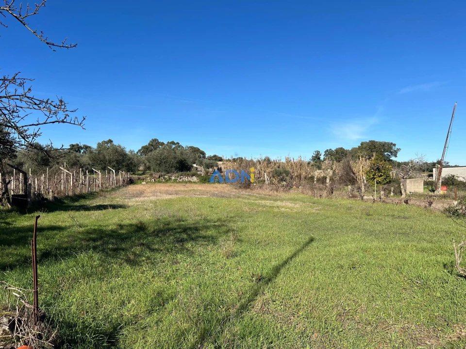Quinta para Venda em Castelo Branco Foto 14