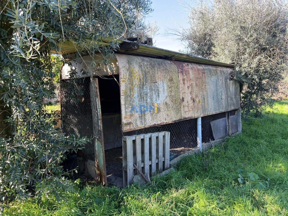 Quinta para Venda em Castelo Branco Foto 6
