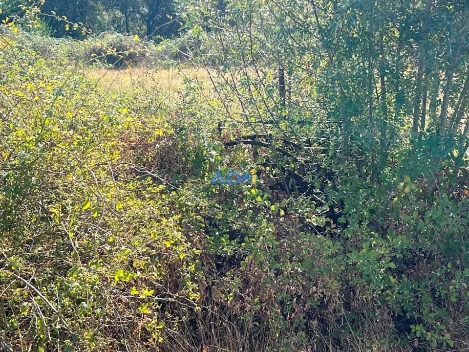 Terreno para Venda em Póvoa de Rio de Moinhos e Cafede Foto 8