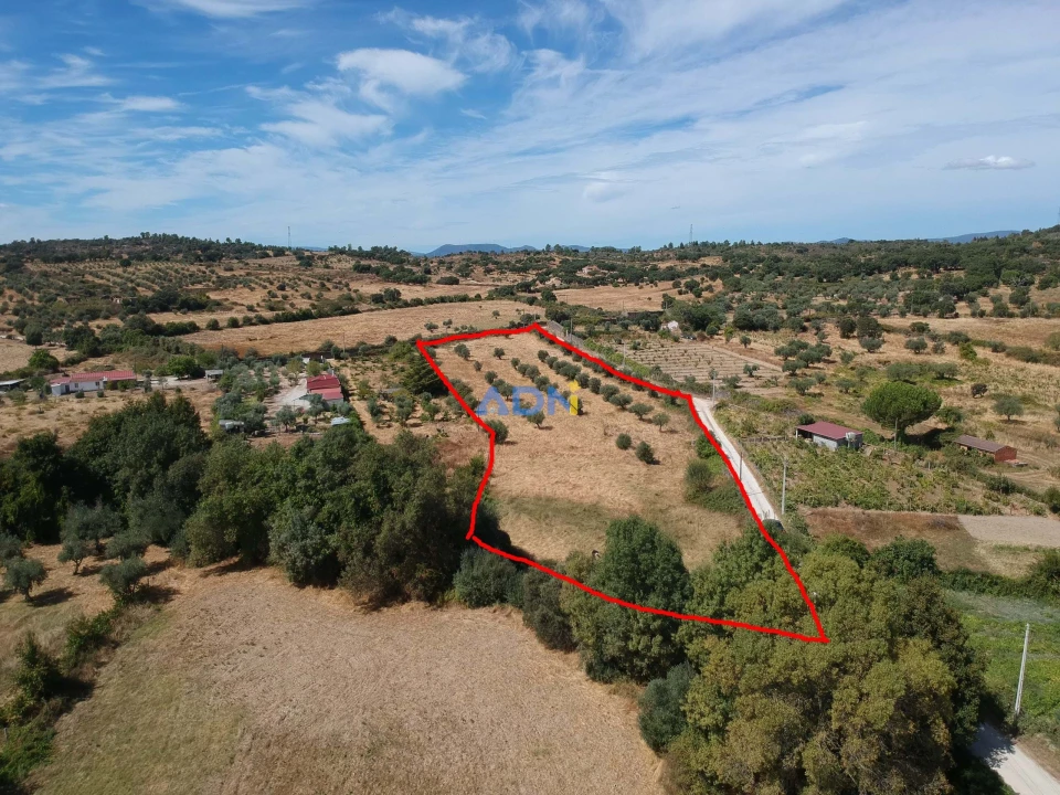 Terreno para Venda em Póvoa de Rio de Moinhos e Cafede Foto 2