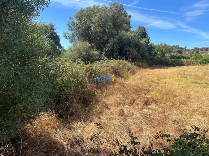 Terreno para Venda em Póvoa de Rio de Moinhos e Cafede Foto 5