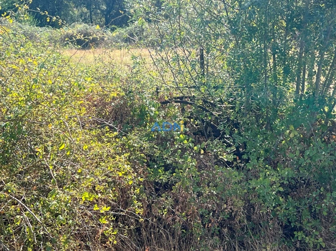 Terreno para Venda em Póvoa de Rio de Moinhos e Cafede Foto 8