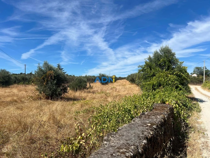 Terreno para Venda em Póvoa de Rio de Moinhos e Cafede Foto 12