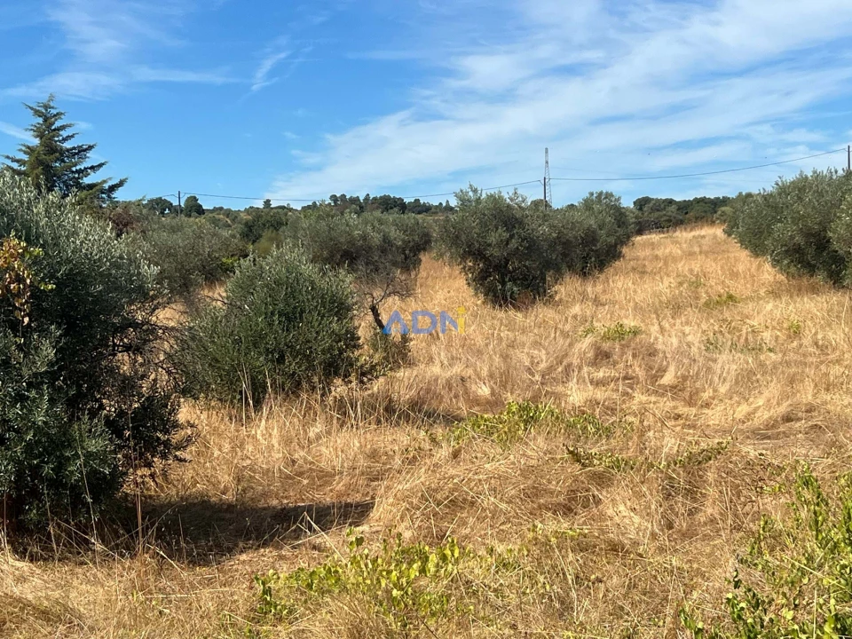 Terreno para Venda em Póvoa de Rio de Moinhos e Cafede Foto 11