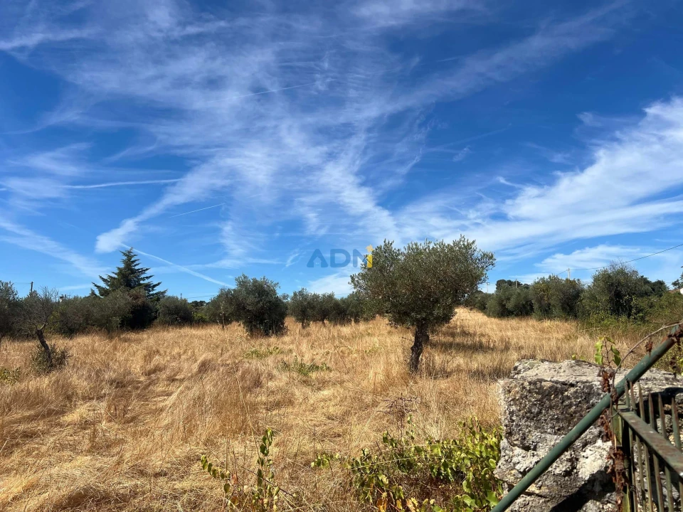 Terreno para Venda em Póvoa de Rio de Moinhos e Cafede Foto 4