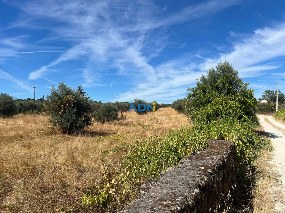 Terreno para Venda em Póvoa de Rio de Moinhos e Cafede Foto 12