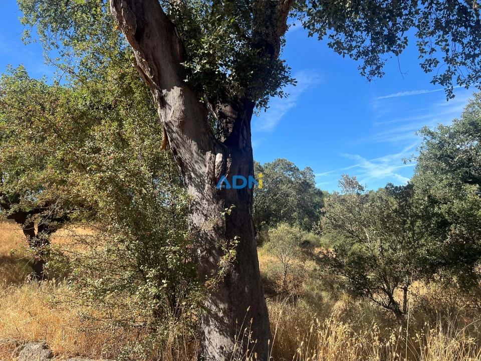 Terreno para Venda em Póvoa de Rio de Moinhos e Cafede Foto 10