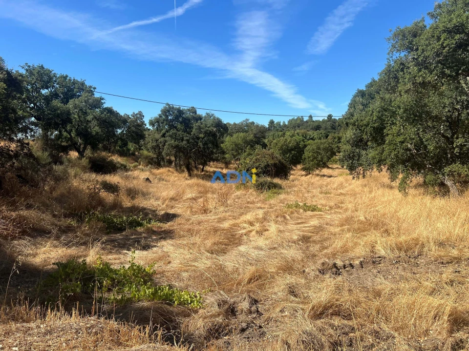 Terreno para Venda em Póvoa de Rio de Moinhos e Cafede Foto 4